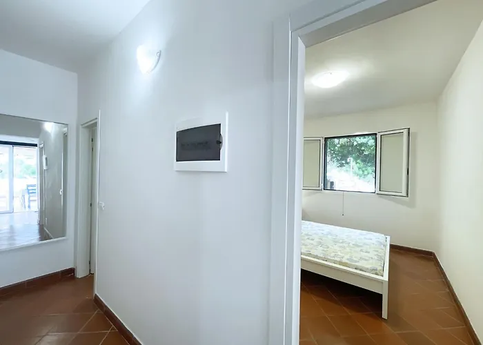 Cavoli - Argonautivacanze *